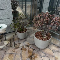 画像235