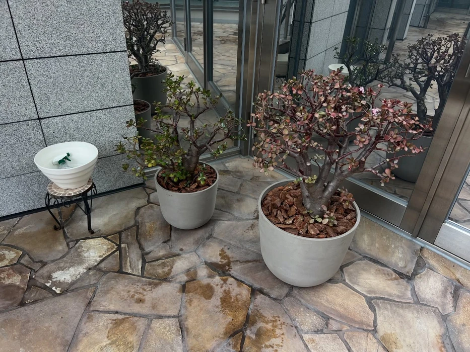 画像235