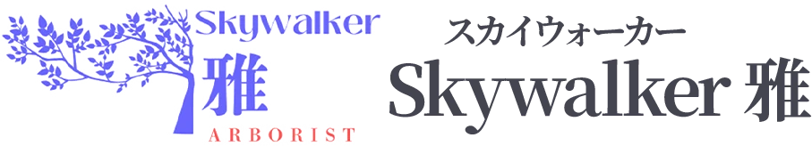 Skywalker 雅